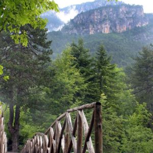 Mount Olympus Enipeas gorge wooden bridge and forest Enjoy tours