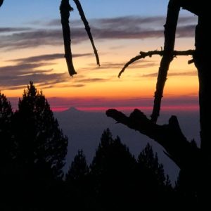 The magic tree on Mt Olympus - Petrostrouga refuge
