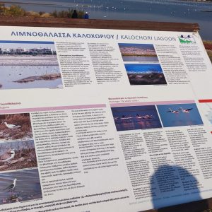 Kalochori Lagoon - Thessaloniki